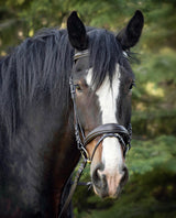 Ergonomic Padded Bridle