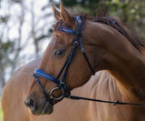Ergonomic Padded Bridle